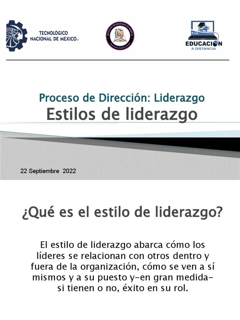 Estilos De Liderazgo | PDF