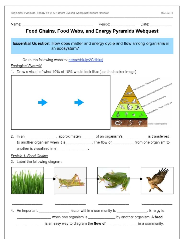 Food Chains Food Webs And Energy Pyramids Webquest LS24-1 | PDF