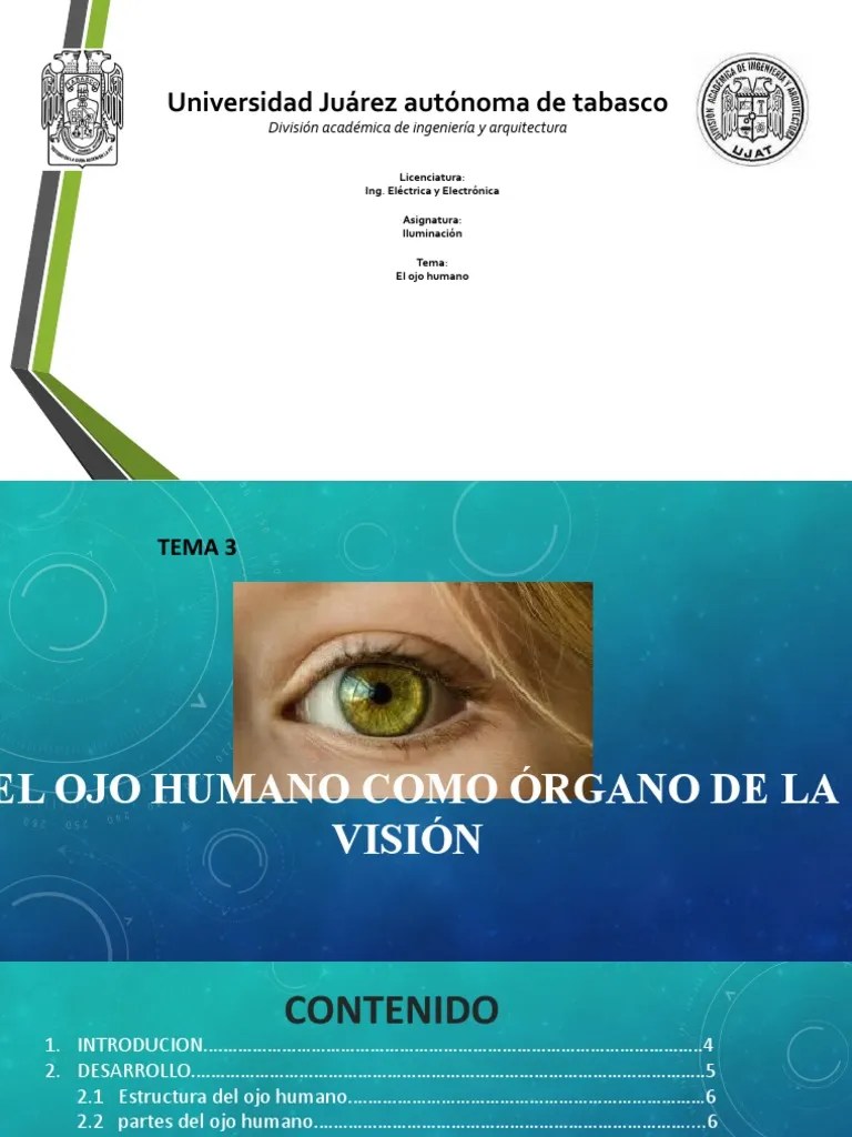 El Ojo Humano Como Órgano De La Visión, Iluminacion | PDF | Ojo Humano ...