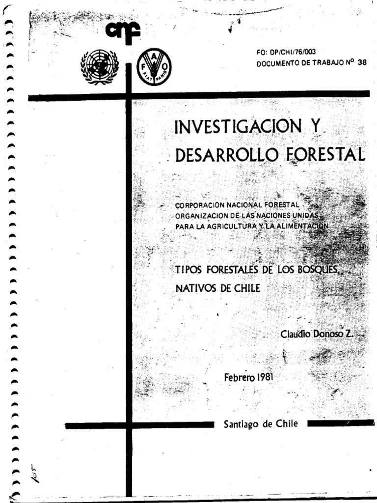 Tipos Forestales De Los Bosques Nativos DONOSO 1981 | PDF | Clima | Andes