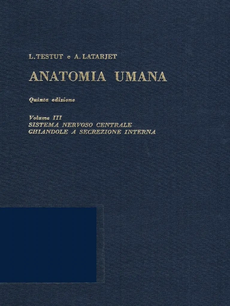 Anatomia Umana PDF | PDF