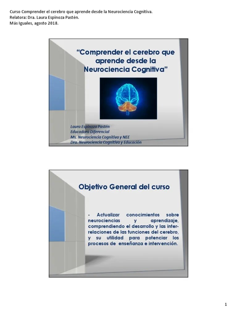 Neurociencia Cognitiva Y Aprendizaje | PDF | Aprendizaje | Cerebro