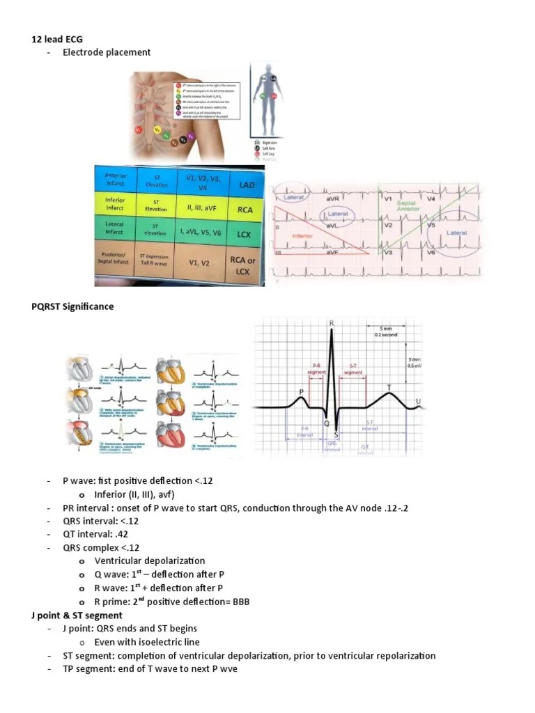 ECG Study Guide | PDF | Electrocardiography | Artificial Cardiac Pacemaker