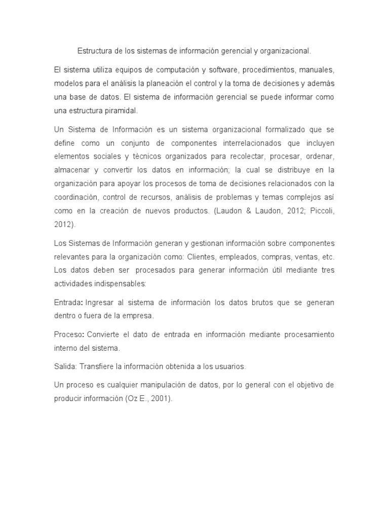 Sistema De Informacion Gerencial | PDF | Sistema De Informacion ...