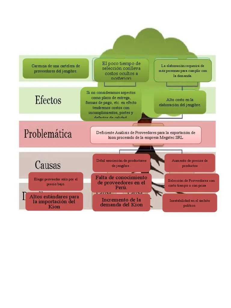 Arbol De Problemas | PDF