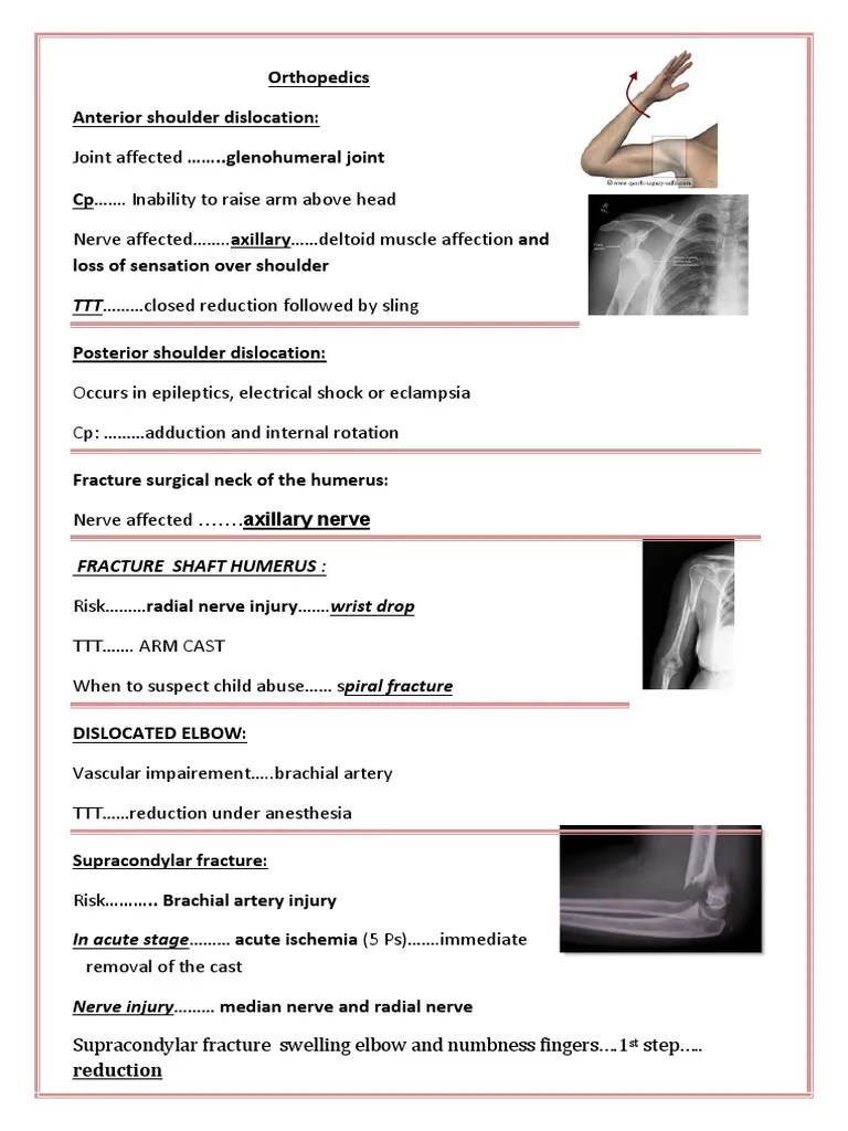 Orthopedics And Anatomy | PDF | Elbow | Knee