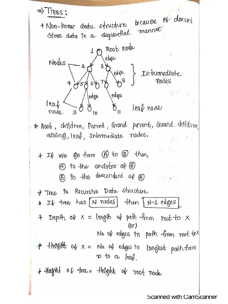 Trees & Graphs | PDF
