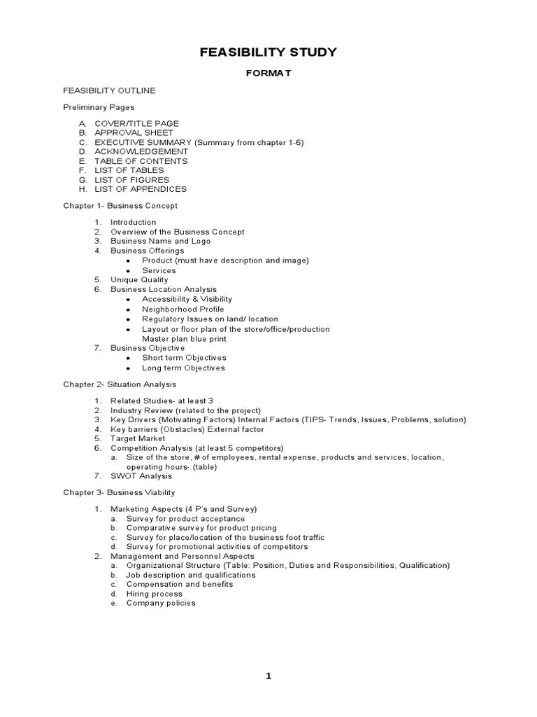Format Feasibility Study | PDF | Income Statement | Business