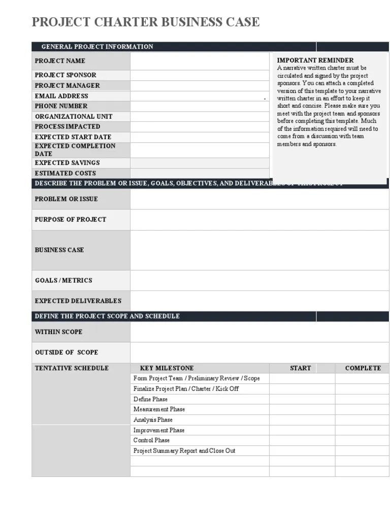 IC Project Charter Business Case 8556 - WORD | PDF | Performance ...