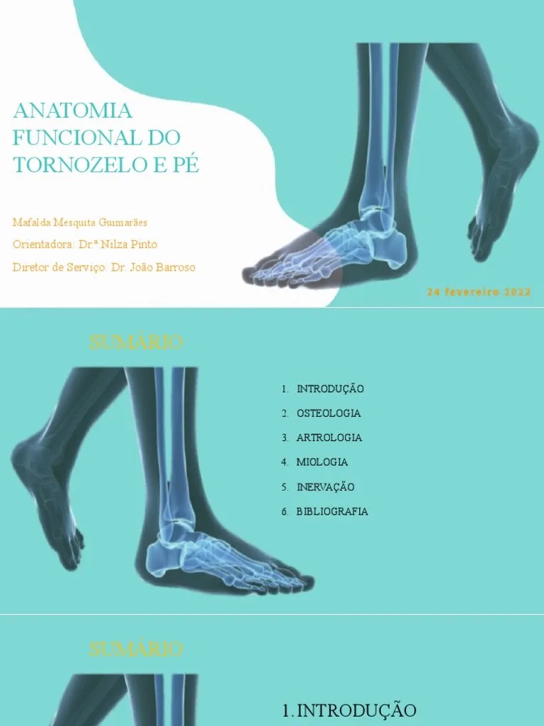 Anatomia Funcional Pe E Tornozelo | PDF | Pé | Anatomia
