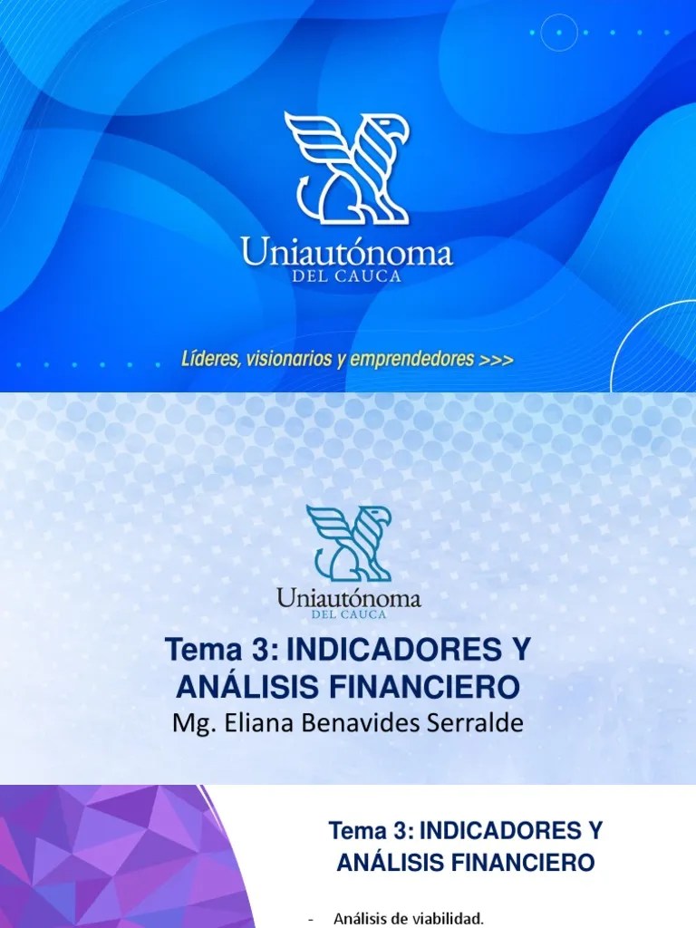Tema 3 INDICADORES Y ANÁLISIS FINANCIERO Para La Evaluación De Proyectos | PDF | Evaluación ...