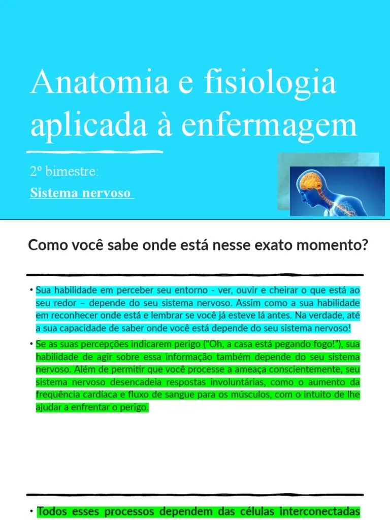 Anatomia E Fisiologia - Sistema Nervoso | PDF | Sistema Nervoso Central ...