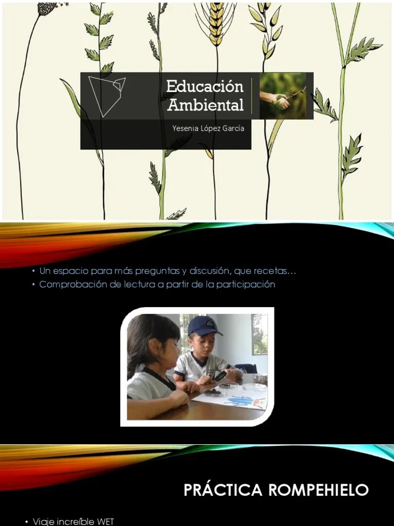Primera Clase Educación Ambiental | PDF