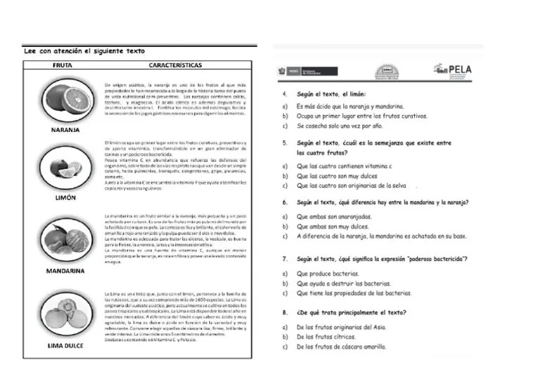 Comunicacion 6examen | PDF