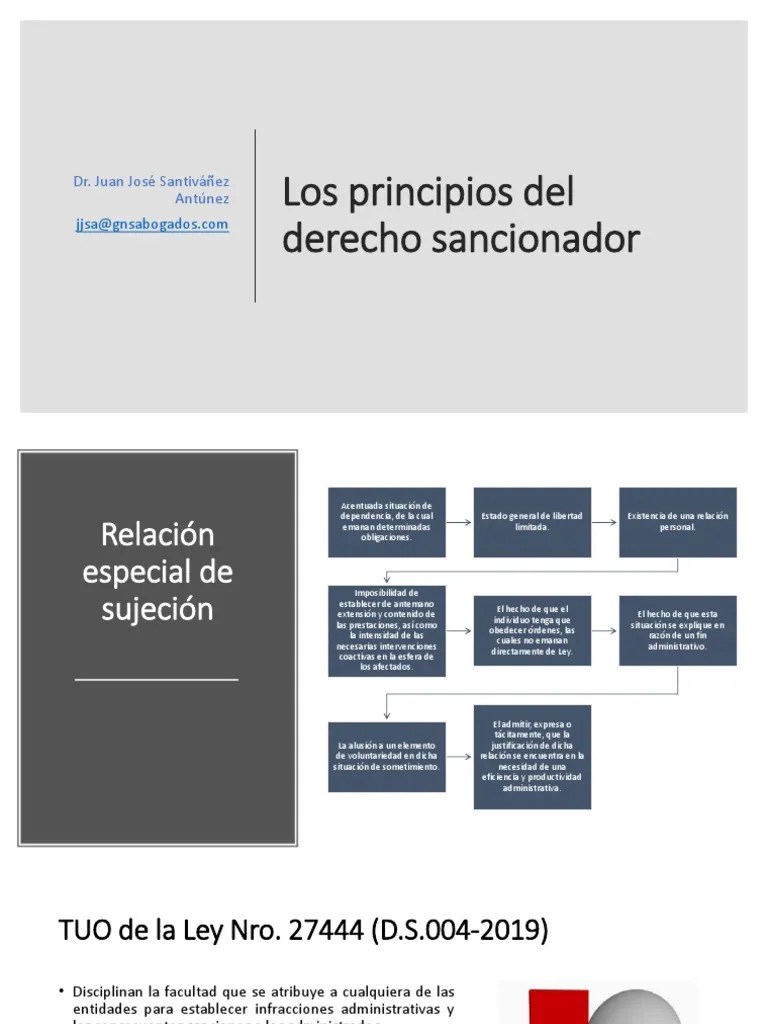 Los Principios Del Derecho Sancionador - Icj | PDF