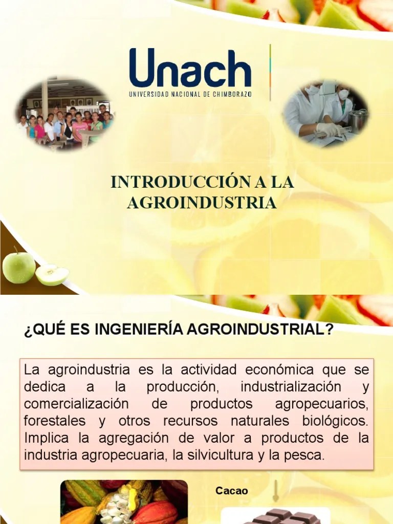 Introducción A La Ingeniería Agroindustrial | PDF | Agronegocios ...