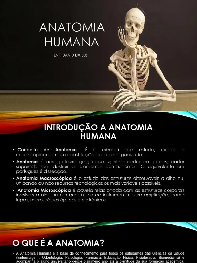 Anatomia Humana.... | PDF | Osso | Esqueleto