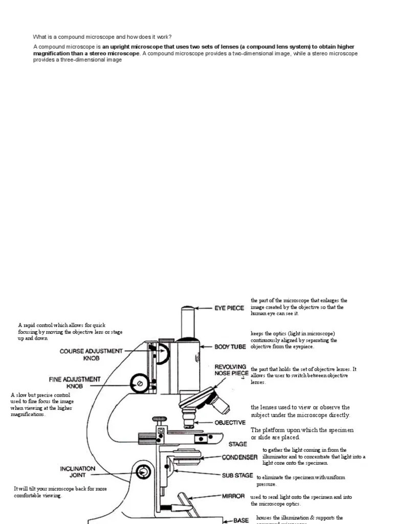 Compound Microscope | PDF