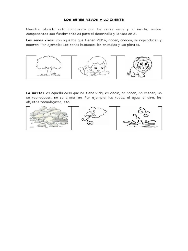 Los Seres Vivos Y Lo Inerte | PDF