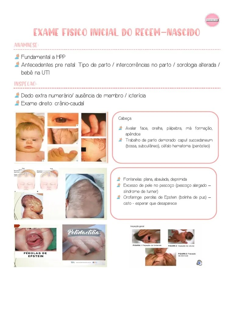 Exame Físico Inicial Do RN | PDF | Especialidades Médicas | Anatomia