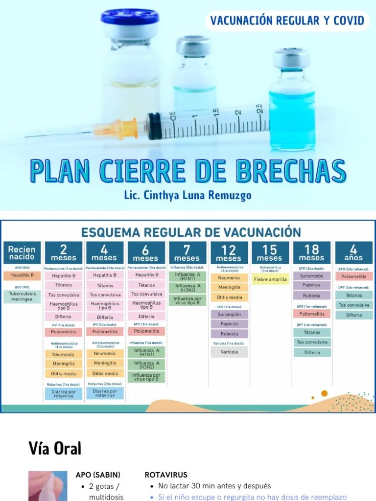 PLAN CIERRE DE BRECHAS VACUNACIÓN REGULAR Y COVID | PDF | Cuidado De La Salud | Especialidades ...
