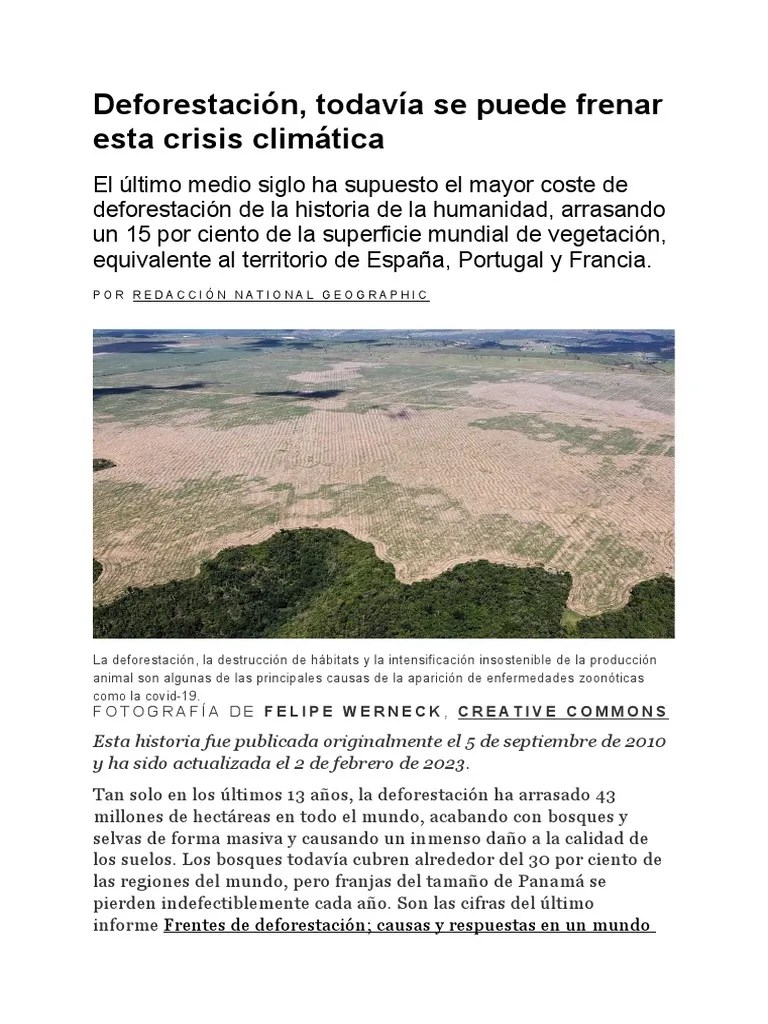 Deforestación | PDF | Deforestación | Los Bosques