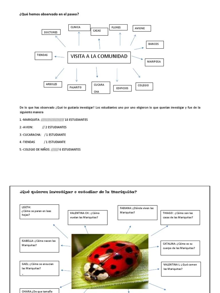 Proyecto De Aprendizaje PDF | PDF