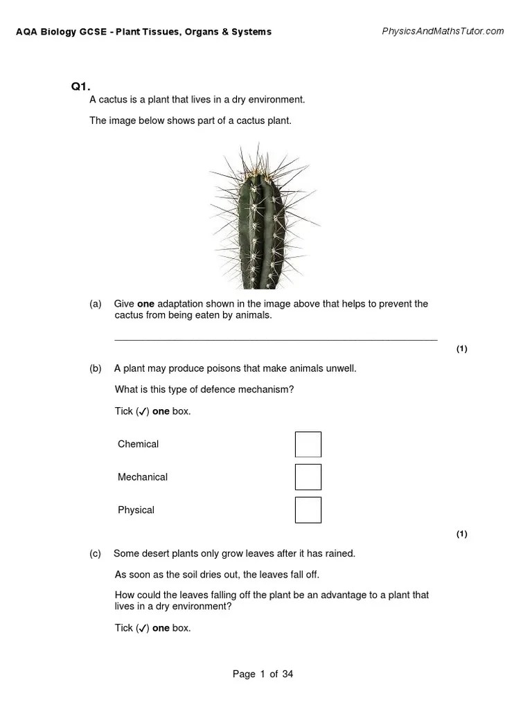 2.3 Plant Tissues, Organs & Systems QP PDF | PDF