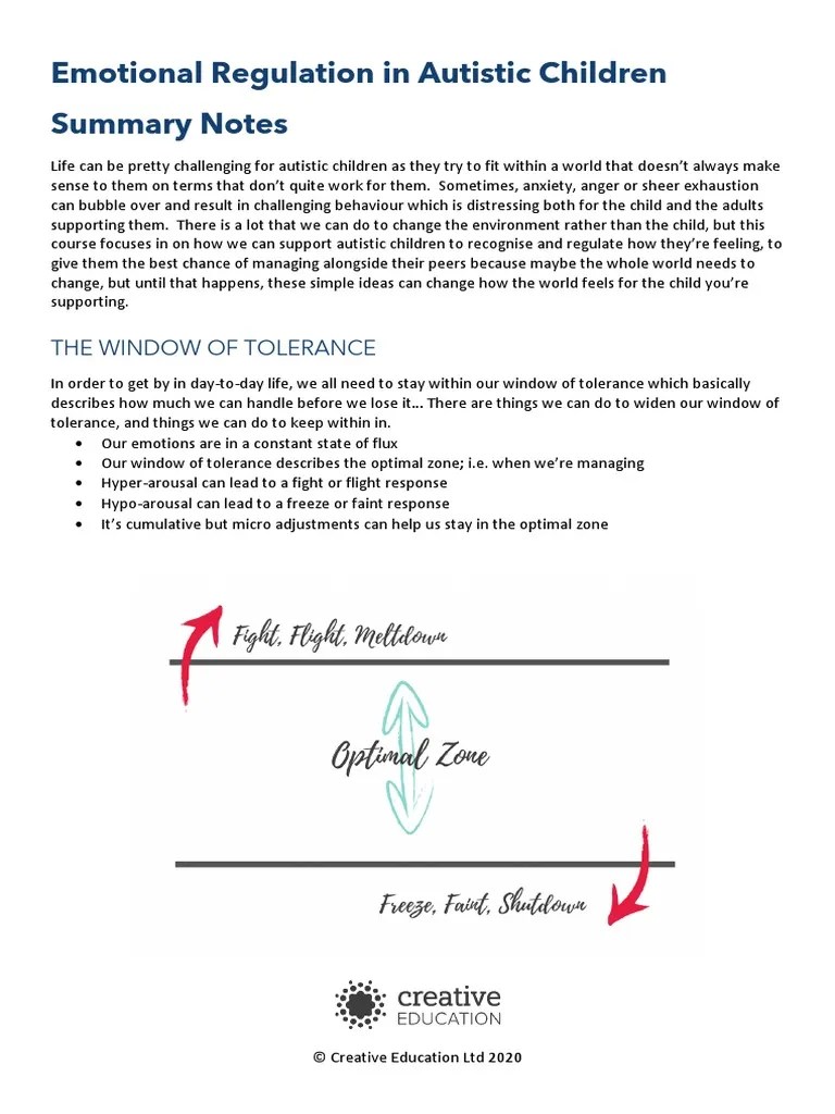 Emotional Regulation In Autistic Children Summary Notes PDF | PDF ...