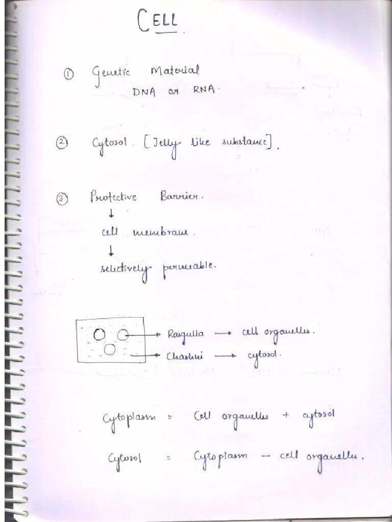 Cell - The Unit Of Life - Handwritten Notes | PDF