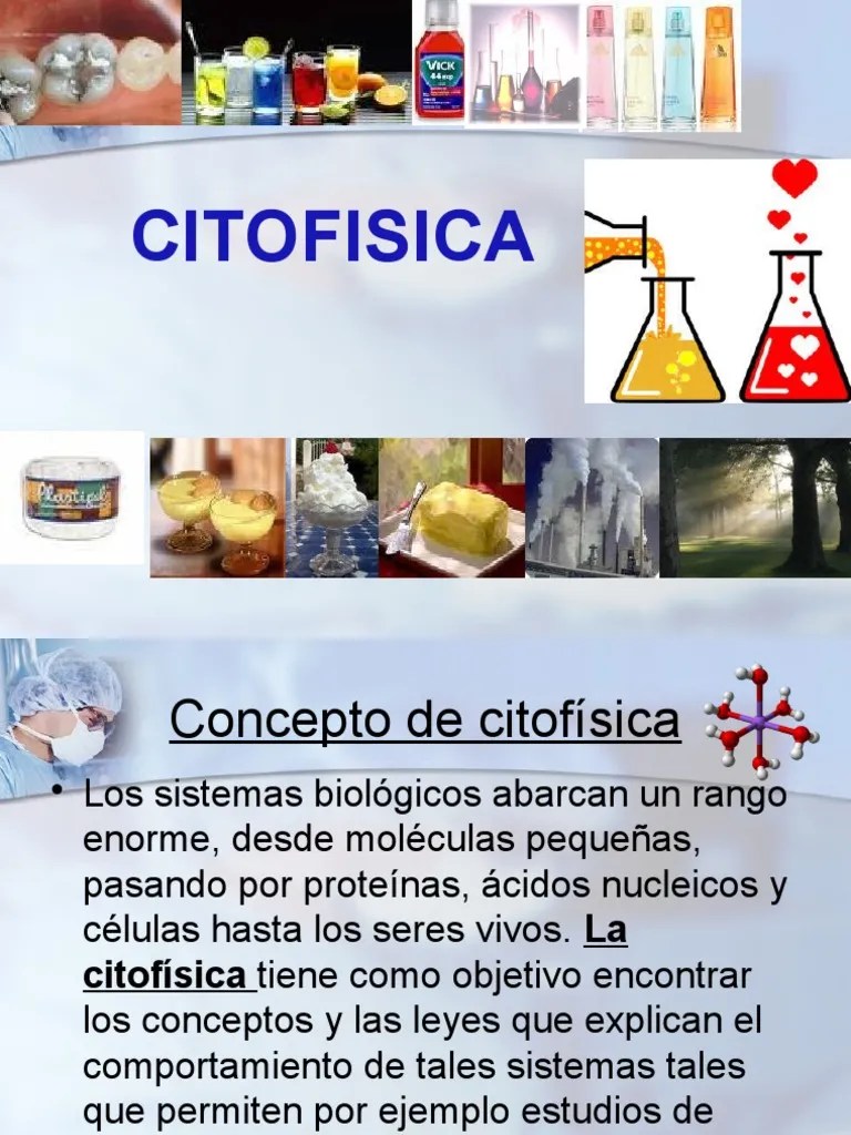 15 Citofisica | PDF