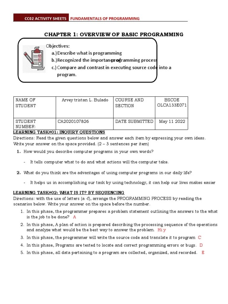 Chapter 1 Activity | PDF | Computer Programming | Software Bug