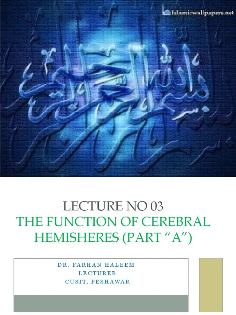 03 Lecture DPT 4 Neuroanatomy 'FUNCTION OF CEREBRAL HEMISPHERE' 'Part A' | PDF | Cerebral Cortex ...