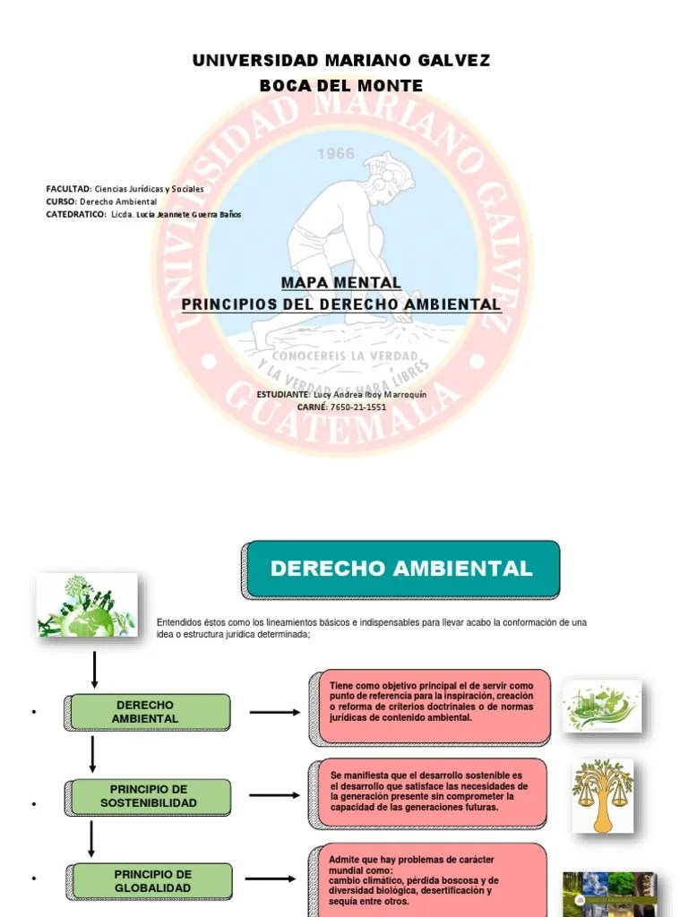 Principios Del Derecho Ambiental | PDF