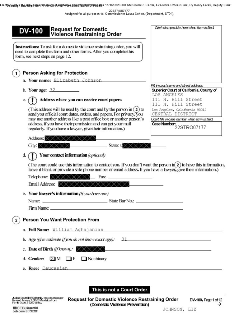 Request For Domestic Violence Restraining Order | PDF