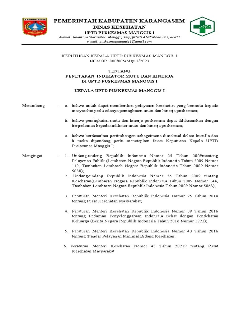 SK Indikator Mutu Puskesmas 2023 | PDF