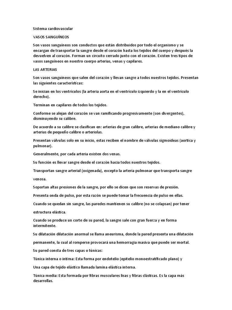 Sistema Cardiovascular | PDF | Artería | Vena