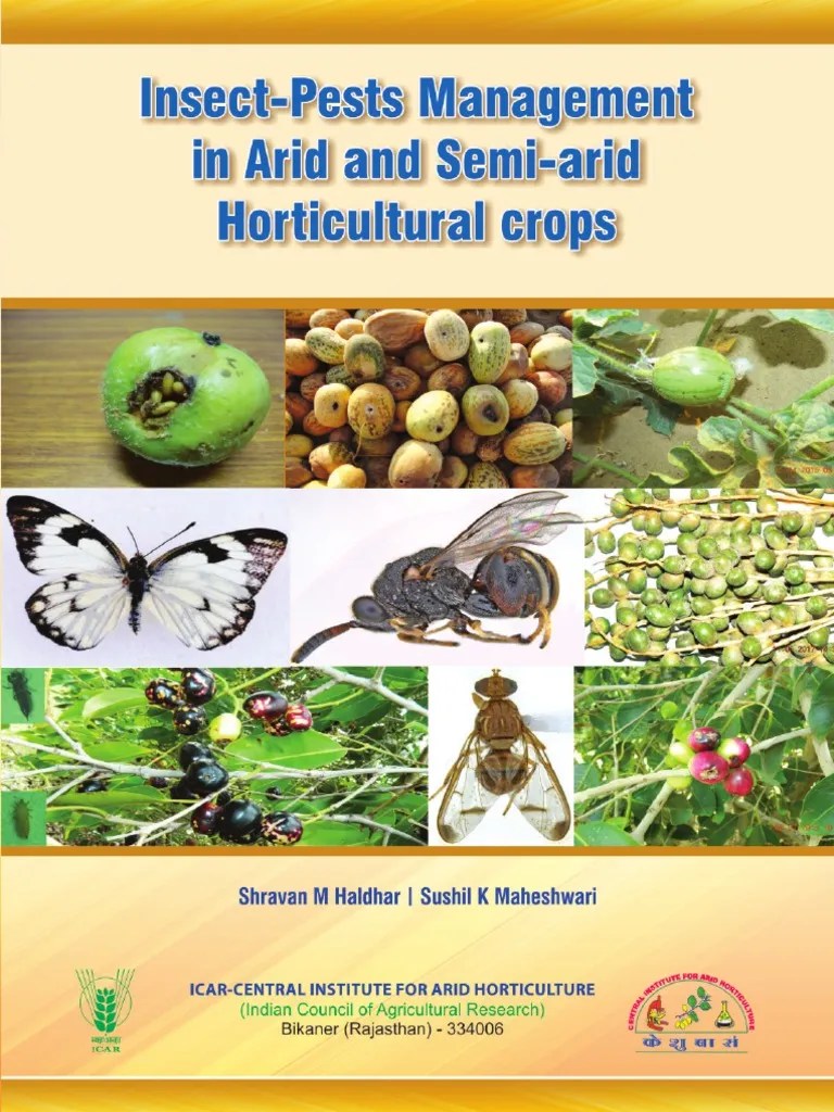 Insect Pests Management | PDF | Pest (Organism) | Beetle