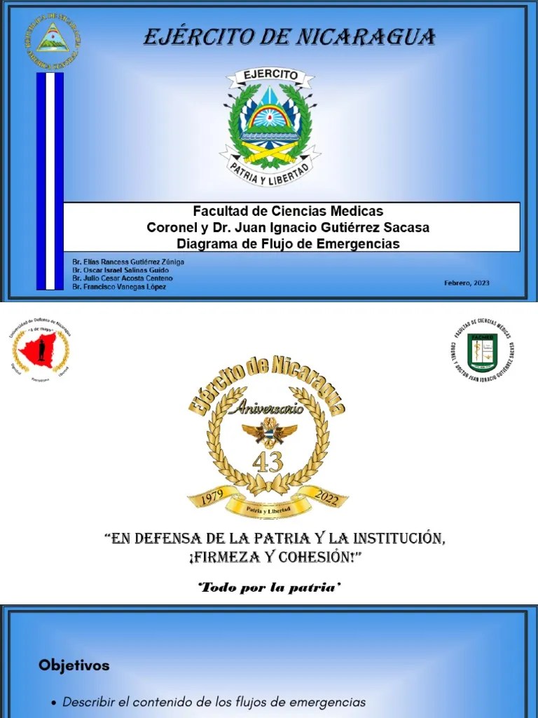 Flujo De Emergencia | PDF