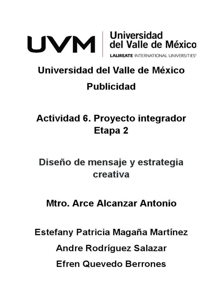 Actividad 6. Proyecto Integrador Etapa 2 | PDF | Servicio De Redes Sociales | Publicidad