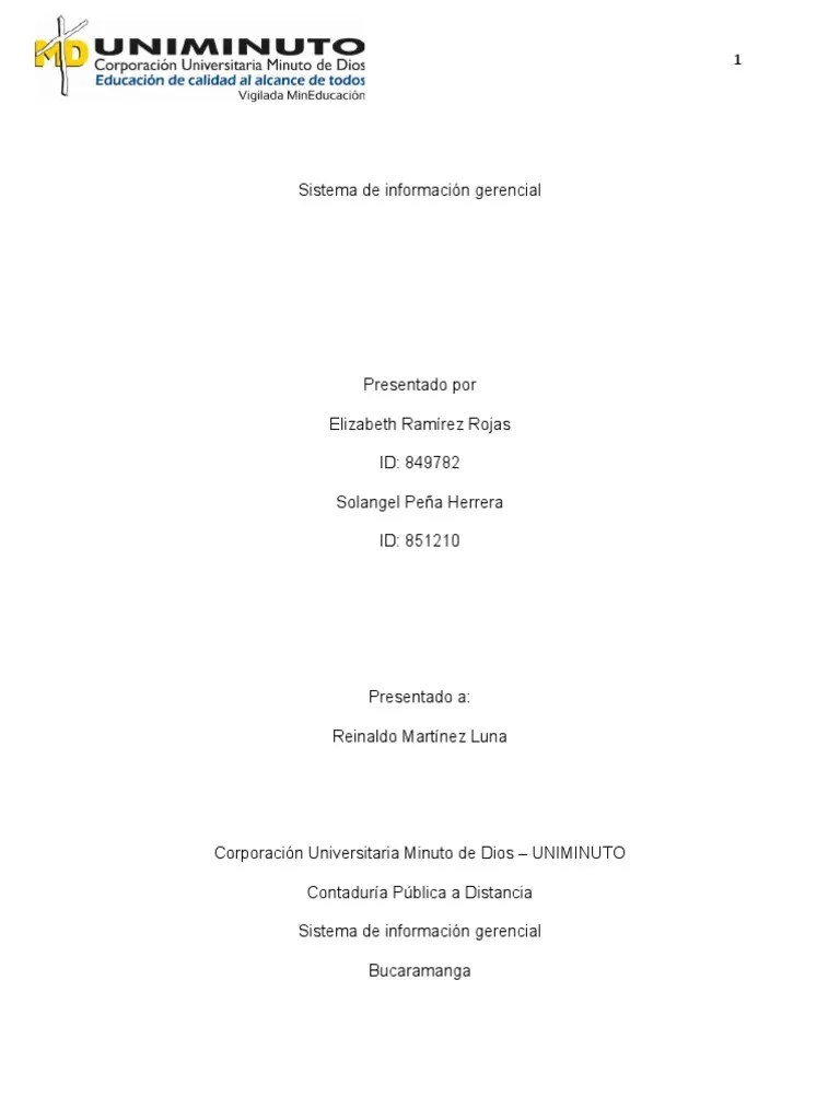 1 Sistema De Informacion Gerencial | PDF | Sistema De Informacion ...