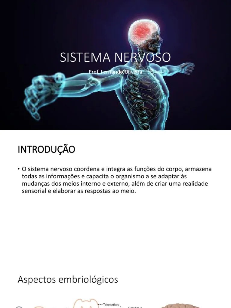 Sistema Nervoso | PDF | Cérebro | Neurônio