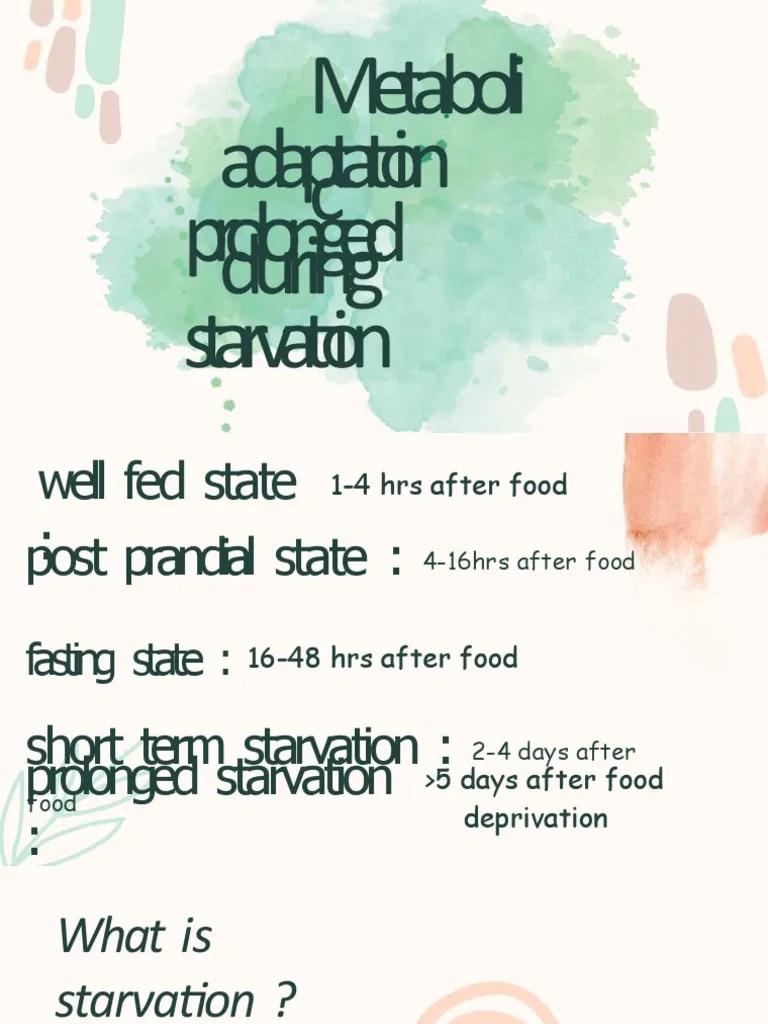 Metabolic Adaptation During Prolonged Starvation | PDF | Alanine | Cell ...