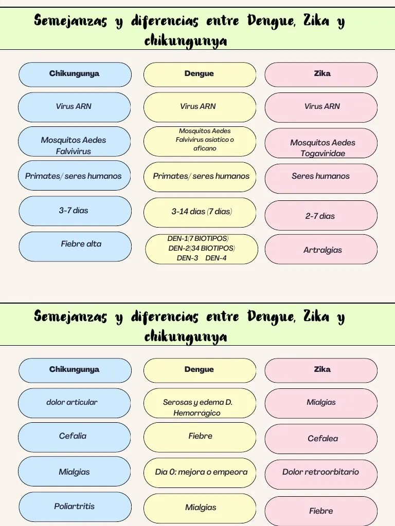 Semejanzas Y Diferencias Entre Dengue, Zika Y Chikungunya | PDF ...