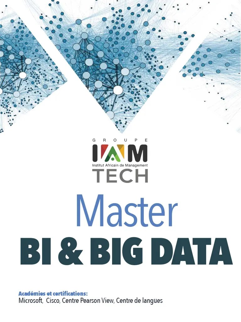 Master Big Data | PDF