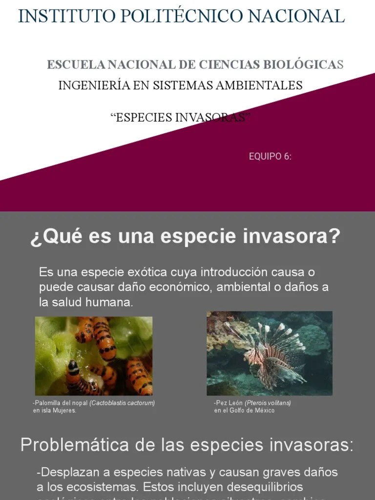 Especies Invasoras | PDF | Especies Invasivas | Especies Introducidas