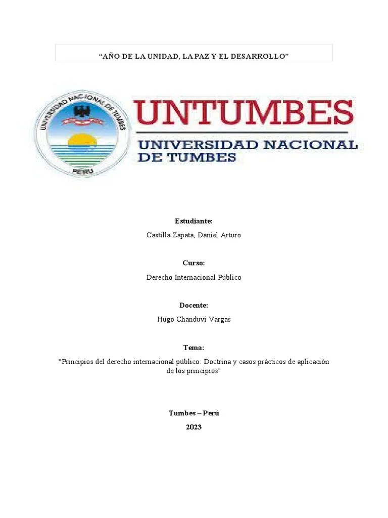 Derecho Internacional Público | PDF | Ley Internacional | Fuentes Del Derecho