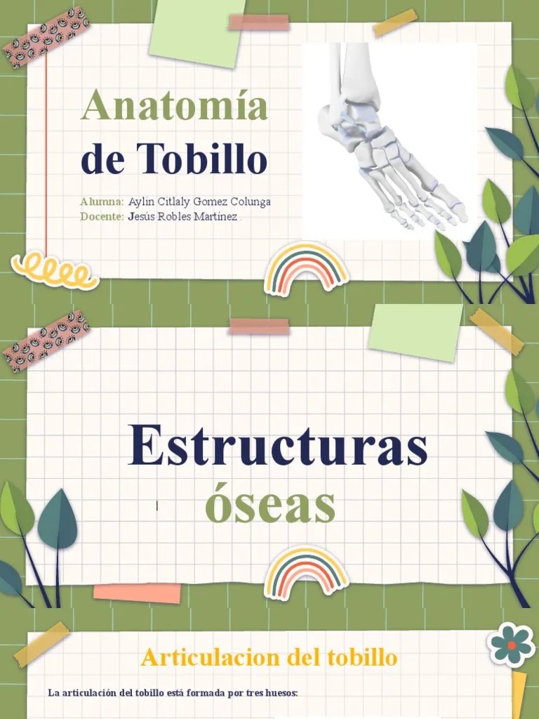 Anatomia De Tobillo 1 | PDF | Tobillo | Pie