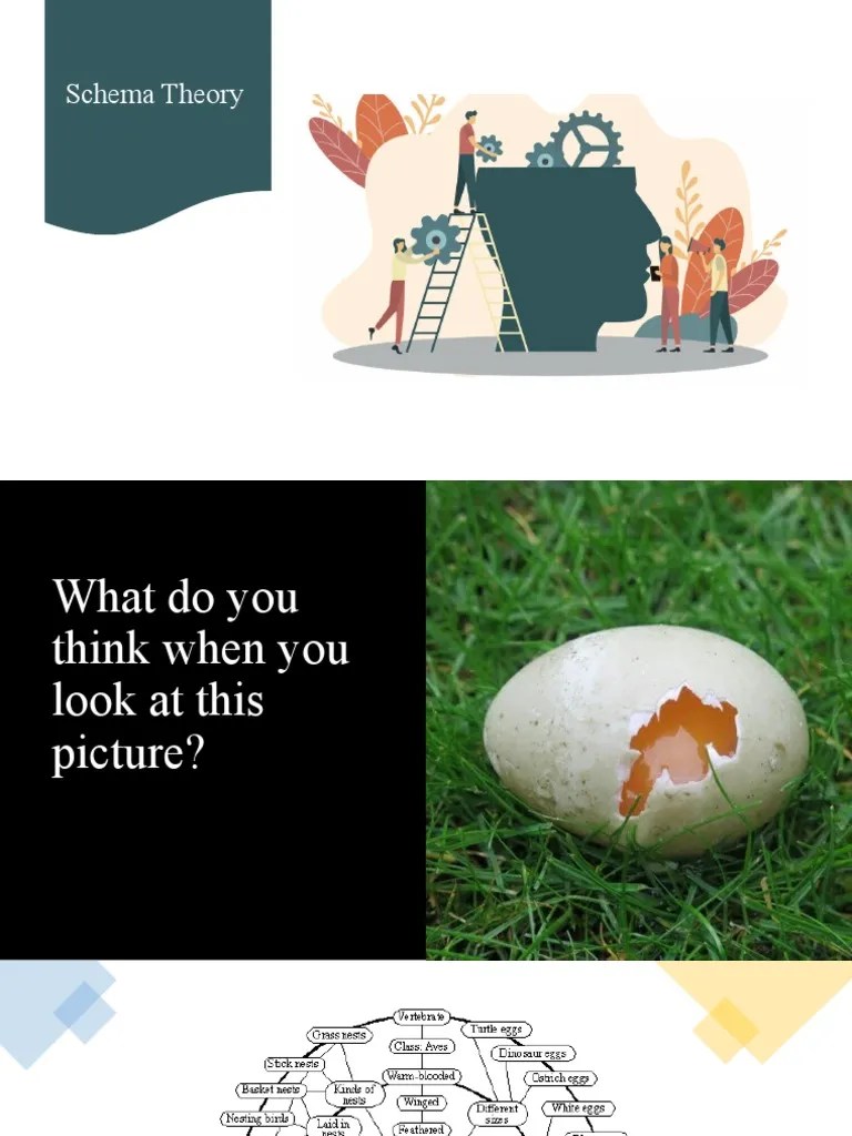 Introduction To Schema Theory | PDF | Schema (Psychology) | Behavioural Sciences