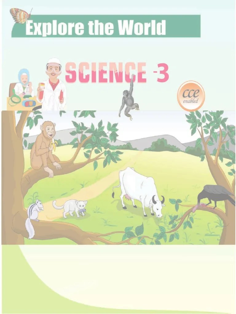 Science Class 3 Term 1 Min | PDF | Curriculum | Teachers